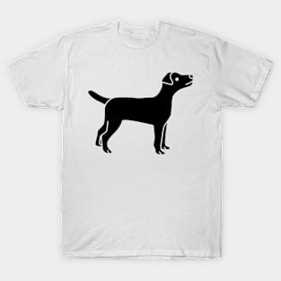 Jack Russell T-Shirt